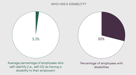 Pie chart of the percentage of employees with disabilities