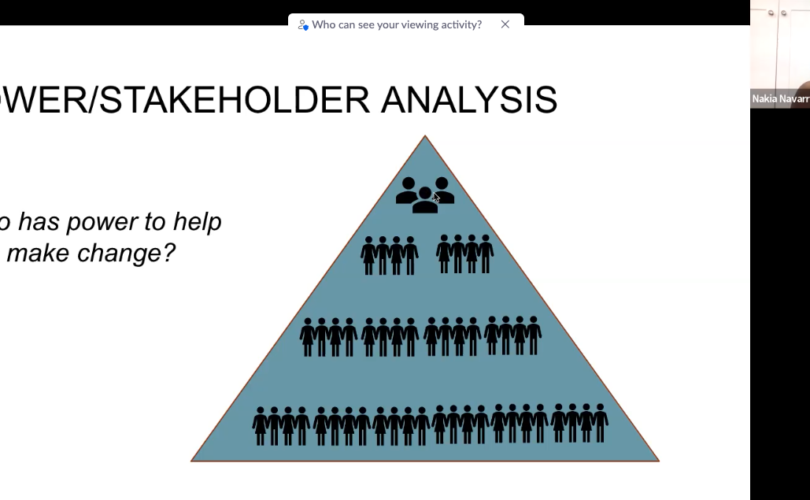 Power/stakeholder analysis